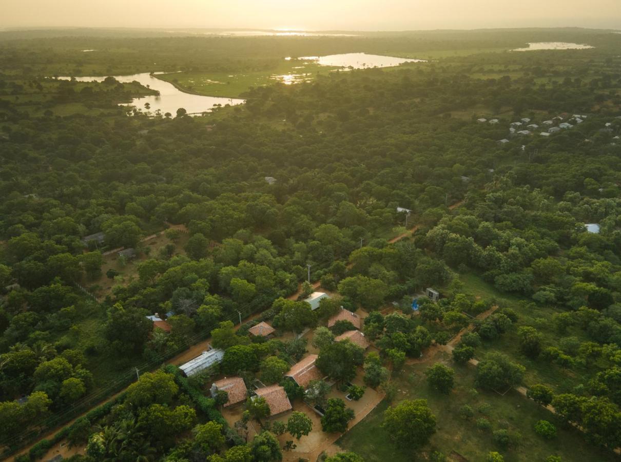 Koragaha Lodge - Yala Тисамахарама Екстериор снимка